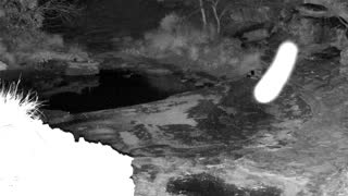 Still 2 from this detection