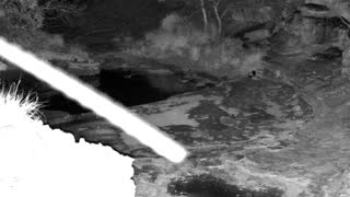 Still 2 from this detection