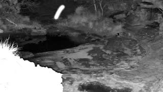 Still 1 from this detection