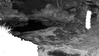Still 1 from this detection