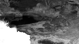Still 1 from this detection