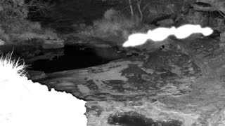 Still 1 from this detection