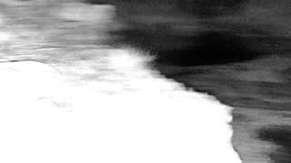 Still 1 from this detection