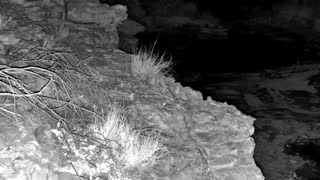 Still 2 from this detection