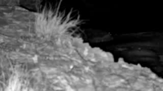 Still 1 from this detection