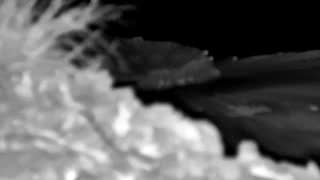 Still 2 from this detection