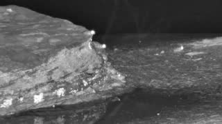 Still 1 from this detection