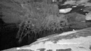 Still 1 from this detection