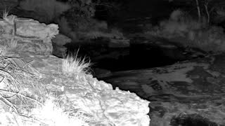 Still 1 from this detection