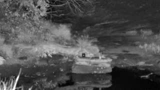 Still 2 from this detection
