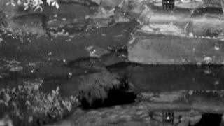 Still 1 from this detection