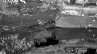 Still 2 from this detection