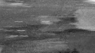 Still 1 from this detection