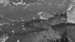 Still 1 from this detection