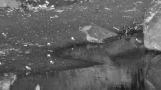 Still 3 from this detection