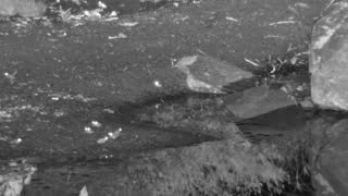 Still 2 from this detection