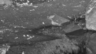 Still 2 from this detection