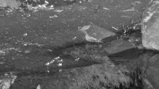 Still 3 from this detection