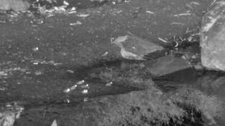 Still 1 from this detection