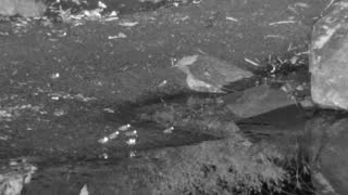 Still 2 from this detection