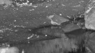 Still 2 from this detection