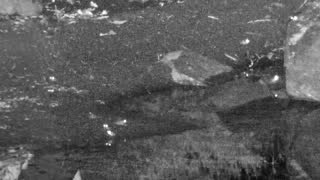 Still 1 from this detection