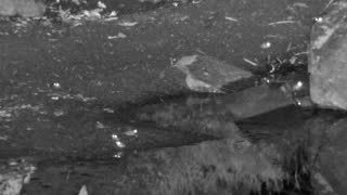 Still 2 from this detection