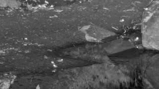 Still 3 from this detection