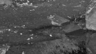 Still 2 from this detection