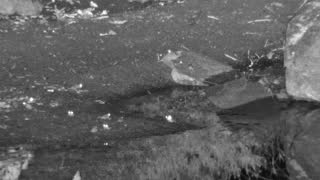 Still 2 from this detection
