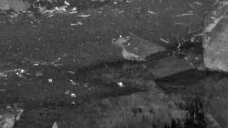 Still 1 from this detection