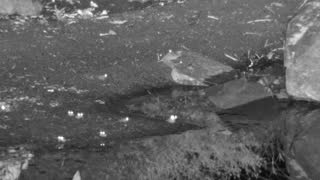 Still 1 from this detection
