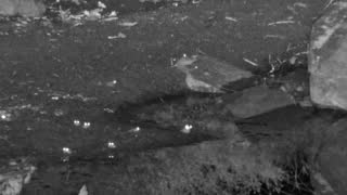 Still 2 from this detection
