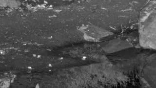 Still 3 from this detection