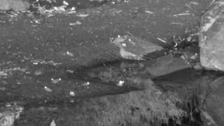 Still 1 from this detection