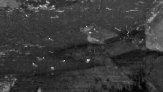 Still 2 from this detection