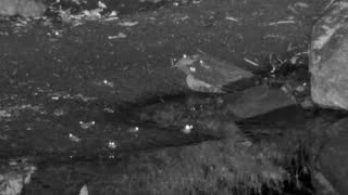 Still 3 from this detection