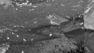 Still 1 from this detection