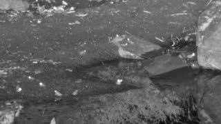 Still 2 from this detection