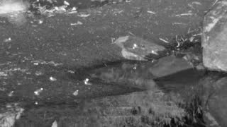 Still 1 from this detection
