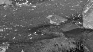 Still 3 from this detection