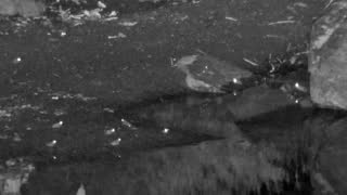 Still 3 from this detection