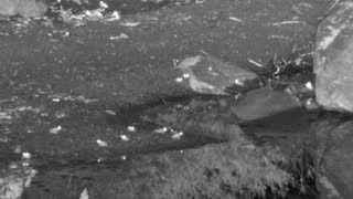 Still 3 from this detection