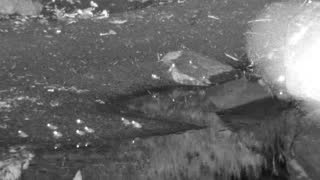Still 1 from this detection