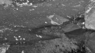 Still 2 from this detection