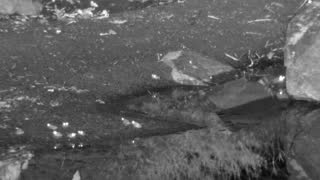 Still 3 from this detection