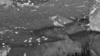 Still 2 from this detection
