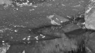 Still 3 from this detection