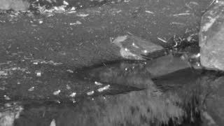 Still 2 from this detection