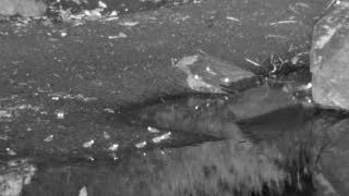 Still 3 from this detection